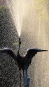 鶴の噴水