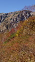 晩秋の山