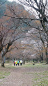 可児川下流域自然公園