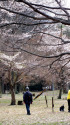 可児川下流域自然公園