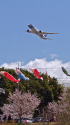 B787 JA873A