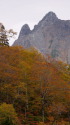 裏槍と紅葉