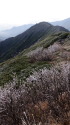 前常念岳稜線にて