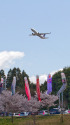 B737 36280