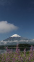 6月の富士山に雪