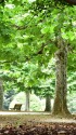 ここでひと休み15