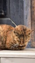 うとうと。
