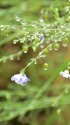 雨上がり