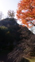 苗木城跡4