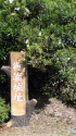 本陣山城