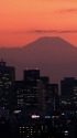昨日の富士山