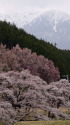 飯島にて