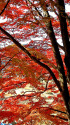 小原の松月院