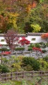 花巻市博物館