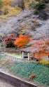 小渕ダム公園