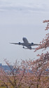 成田空港