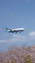 成田空港