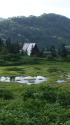 或る湿原