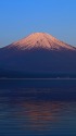 紅富士