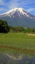 忍野の富士山