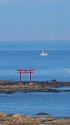 夏の相模湾