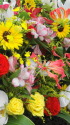 祝花