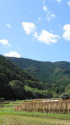 里山の秋