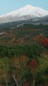 山は初冬