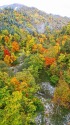 峡谷の紅葉