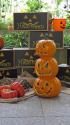 ハロウィンの飾り