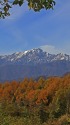 秋の山並み