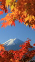 紅葉の中の富士山