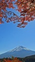 秋の富士山