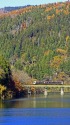秋の高山本線