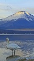 冬の富士山