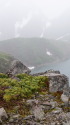 霞む三の池