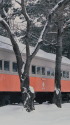 昭和の鉄道175 オハ31
