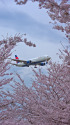 成田空港