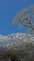 白馬三山