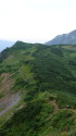 弓折岳稜線