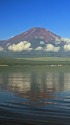 夏の富士山