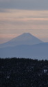 富士山を望む