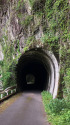 田口線跡ワイルドなトンネル