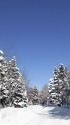 幻想的な雪景色