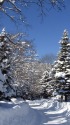 癒される雪景色
