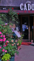 薔薇の花咲く喫茶店