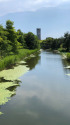 夏の水路