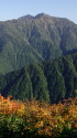 秋の山