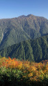 秋の山