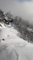 新雪